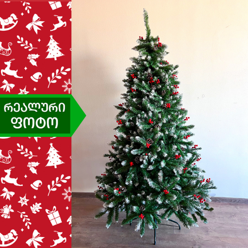 Christmas tree Costa Rica 180 cm (GH-180)