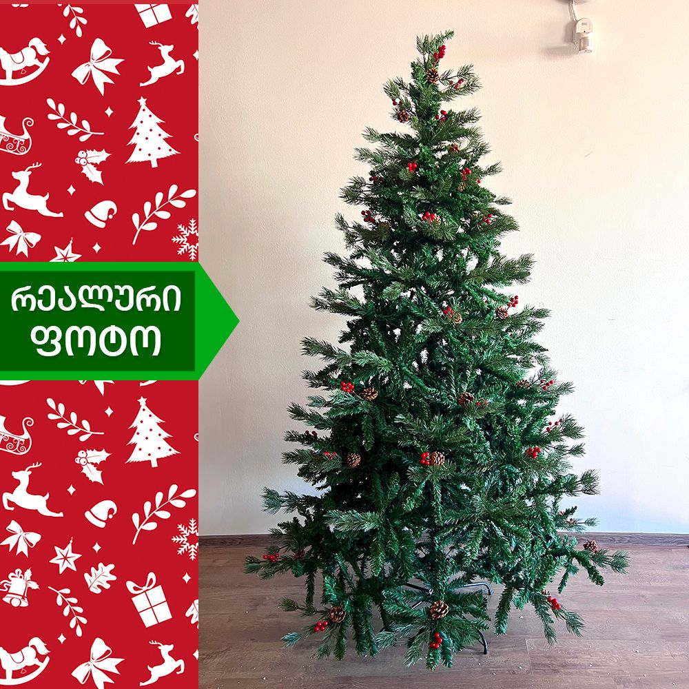 Christmas tree Alabama 180 cm (XC-180)