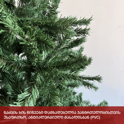 Caucasian Christmas tree 210 cm (JK-210)