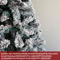 ნაძვის ხე ბავარია 270 სმ (ZX-270)