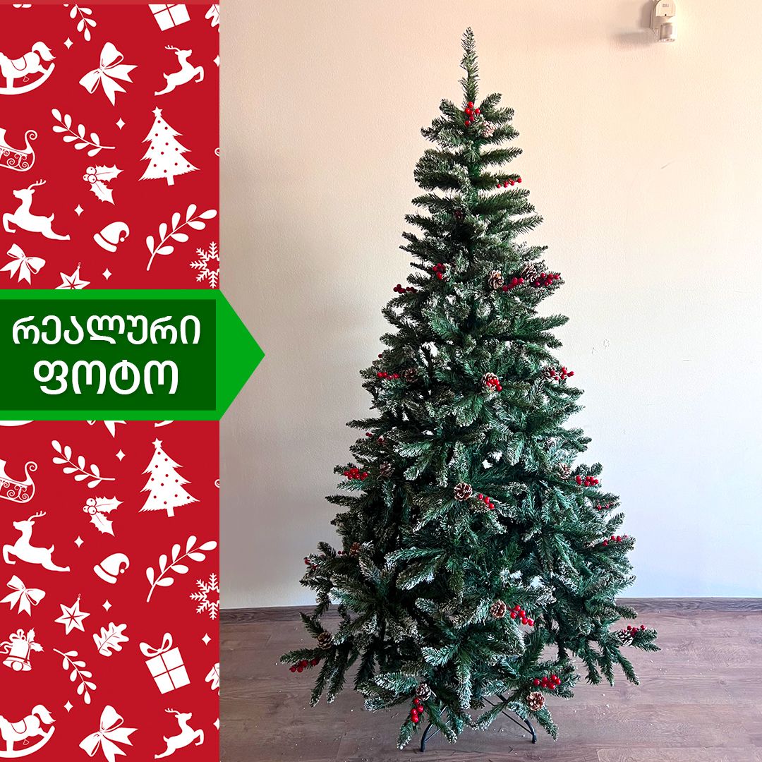 Christmas tree Alaska 150 cm (VB-150)