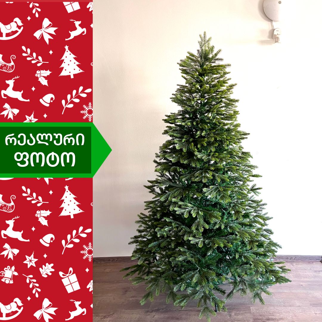 Christmas tree Colorado 180 cm (AB-180)