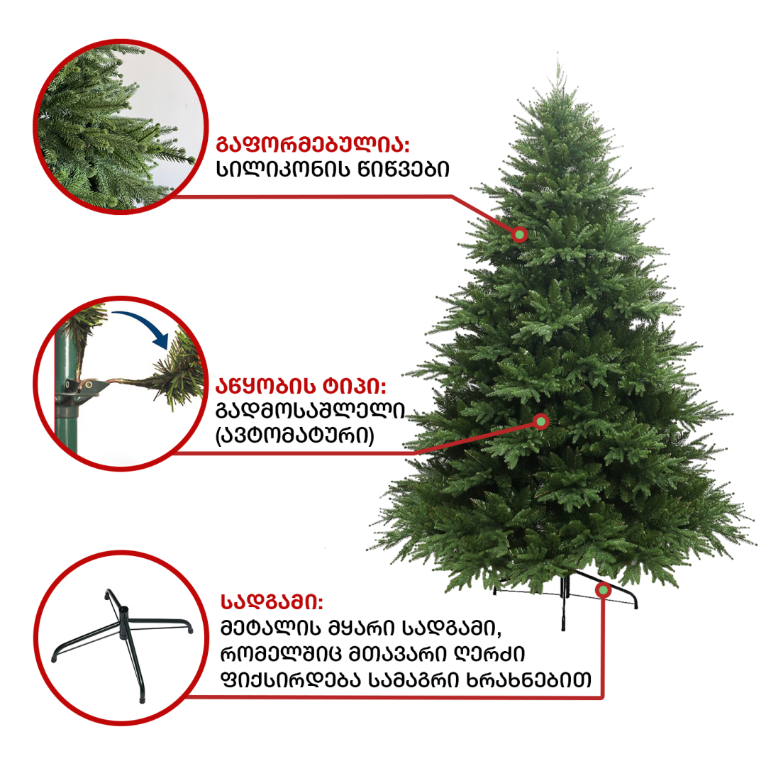 Christmas tree Himalaya 180 cm (BC-180)