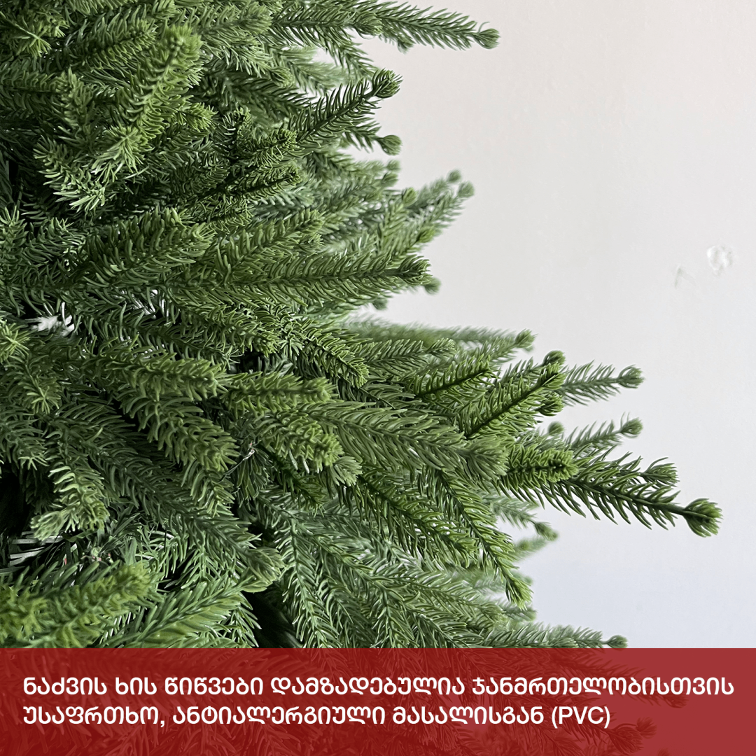 Christmas tree Himalaya 180 cm (BC-180)