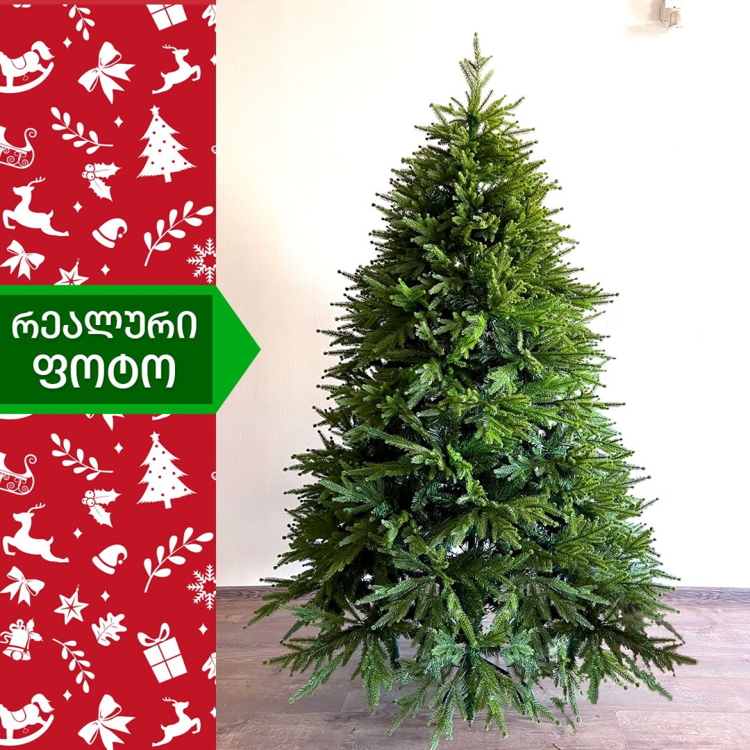 Christmas tree Himalaya 180 cm (BC-180)