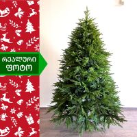 ნაძვის ხე ჰიმალაი 180 სმ (BC-180)