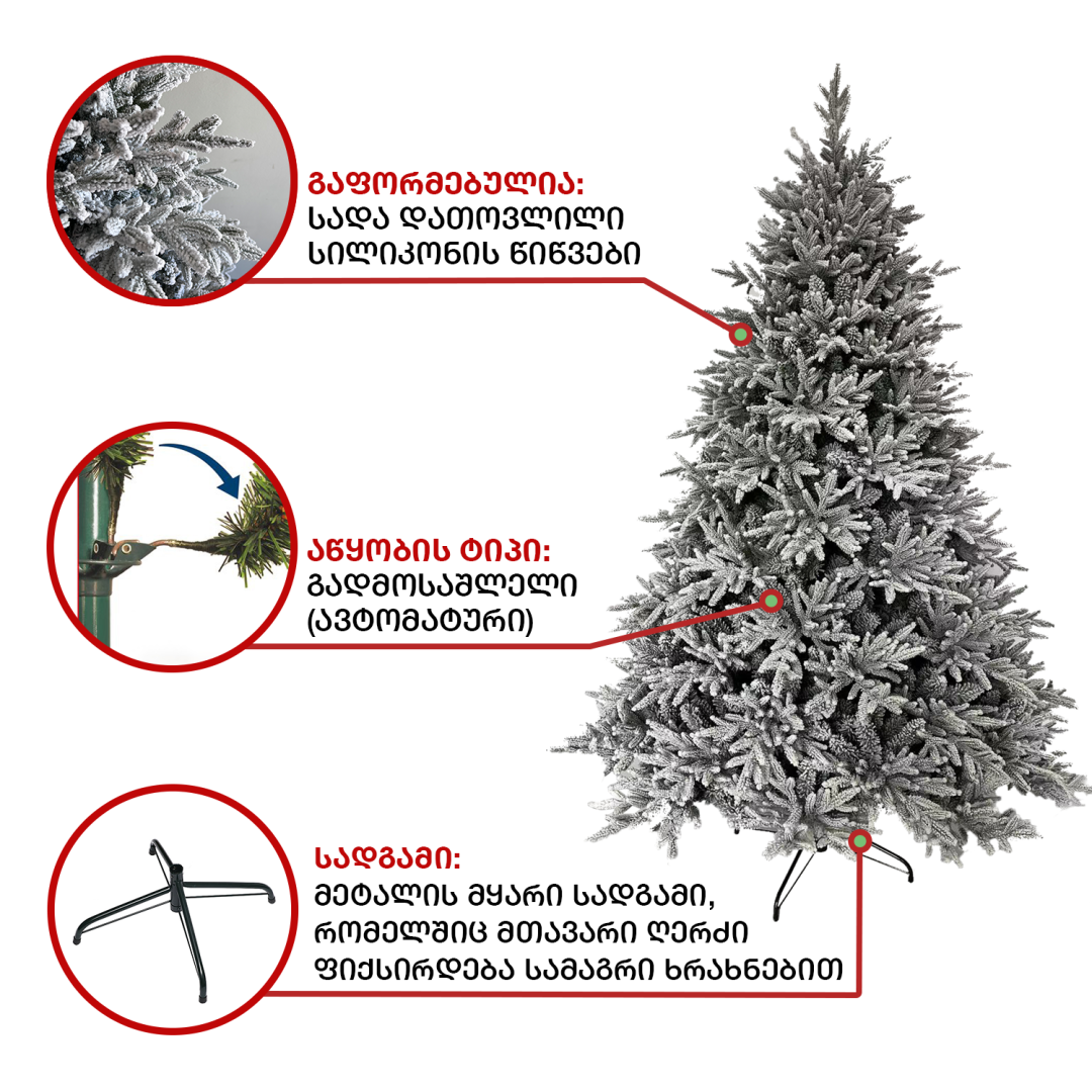 Christmas tree Greenland 180 cm (CD-180)