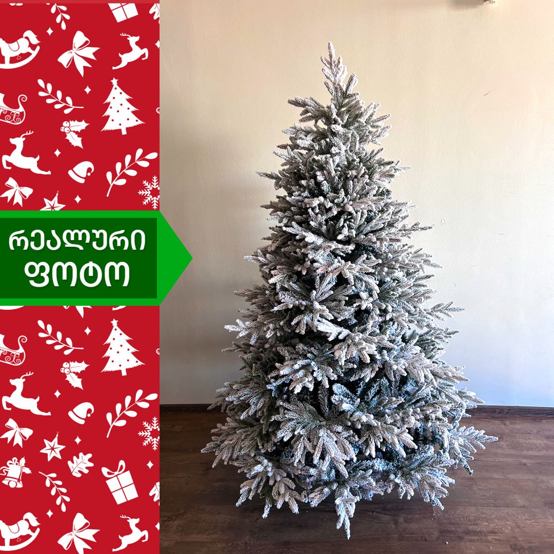 Christmas tree Greenland 180 cm (CD-180)