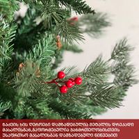 ნაძვის ხე ალაბამა 180 სმ (XC-180)