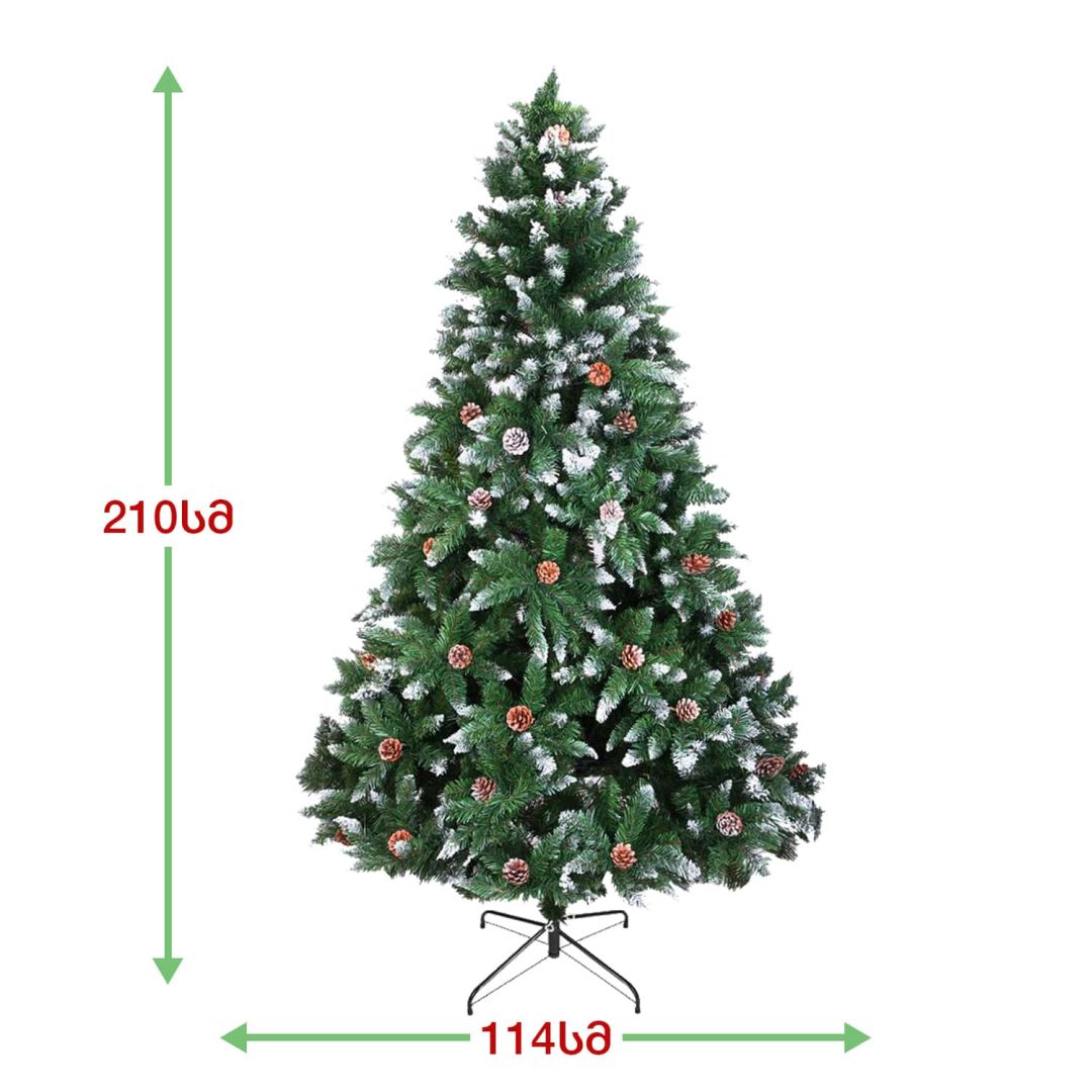 Christmas tree conifer 210 cm (BN-210)