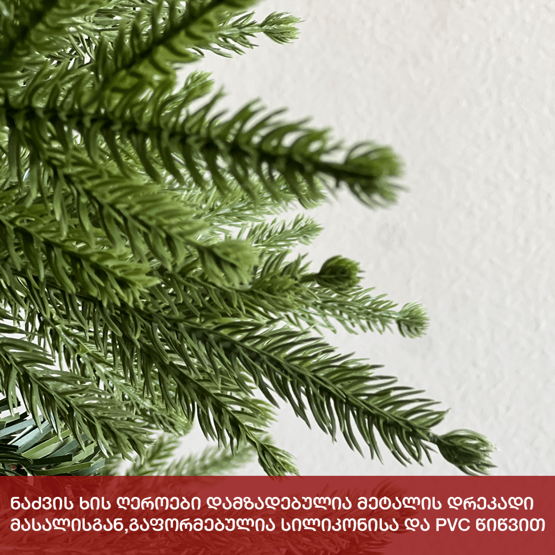 Christmas tree Himalaya 210 cm (BC-210)