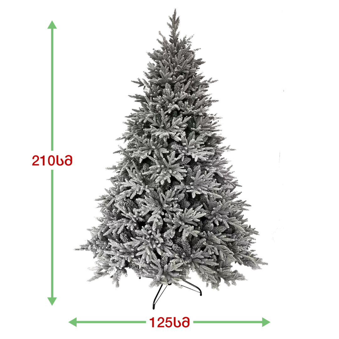 Christmas tree Greenland 210 cm (CD-210)