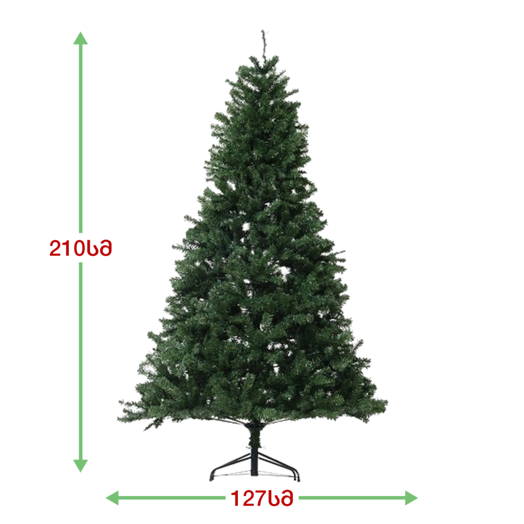 Caucasian Christmas tree 210 cm (JK-210)