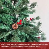 ნაძვის ხე ალაბამა 210 სმ (XC-210)