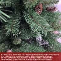 ნაძვის ხე ნორვეგია 270 სმ (VC-270)