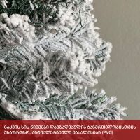 ნაძვის ხე ბავარია 270 სმ (ZX-270)