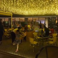 საშობაო განათება ფარდა 4 მ 120 ნათურით (C-8)