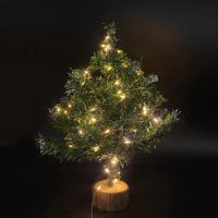 საშობაო განათება IN თბილი SPILENZI 10 M (C-7)