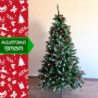 ნაძვის ხე კოსტა-რიკა 240 სმ (GH-240)