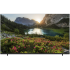 TV-ColorView TV 32"(80cm) / 32GF (2022) Black HD