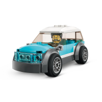 Family House and Electric Car