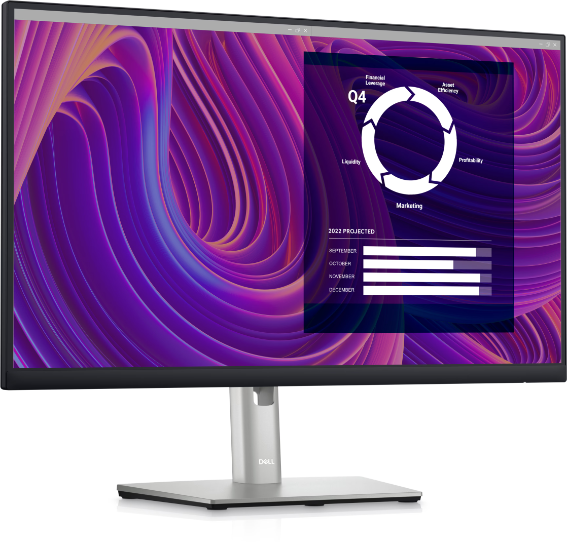 Dell 24 Monitor - P2423D - 60.5cm (23.8")/IPS QHD 2560 x 1440