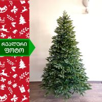 ნაძვის ხე კოლორადო 210 სმ (AB-210)