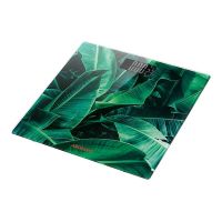 სასწორი-Ardesto SCB-965LEAVES