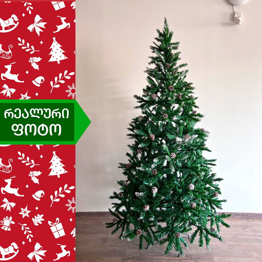 Christmas tree conifer 150 cm (BN-150)