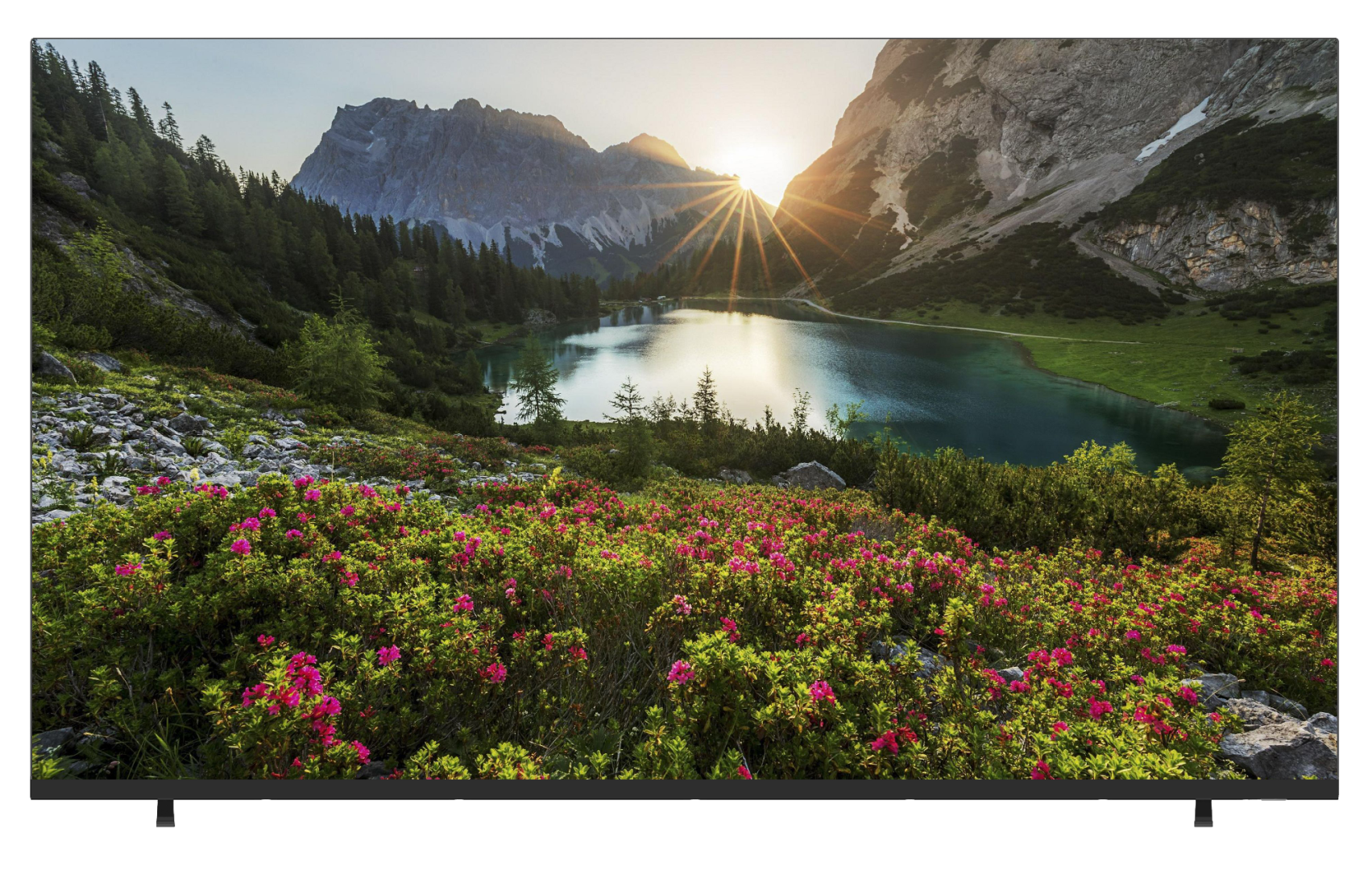 ტელევიზორი-ColorView TV 43"(108cm)/ 43GFS (2022) Black 