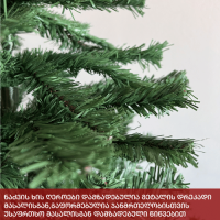 ნაძვის ხე ჟენევა 270 სმ (HJ-270)