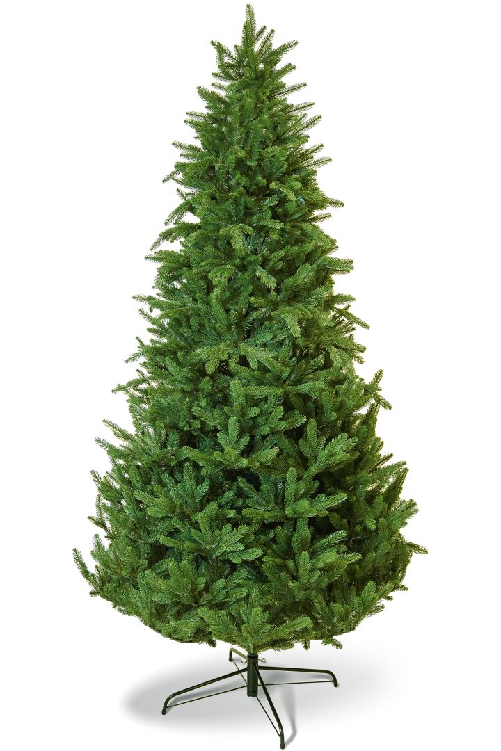 Subalpine Fir სუბალპური ნაძვი 240 სმ