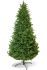Subalpine Fir სუბალპური ნაძვი 240 სმ