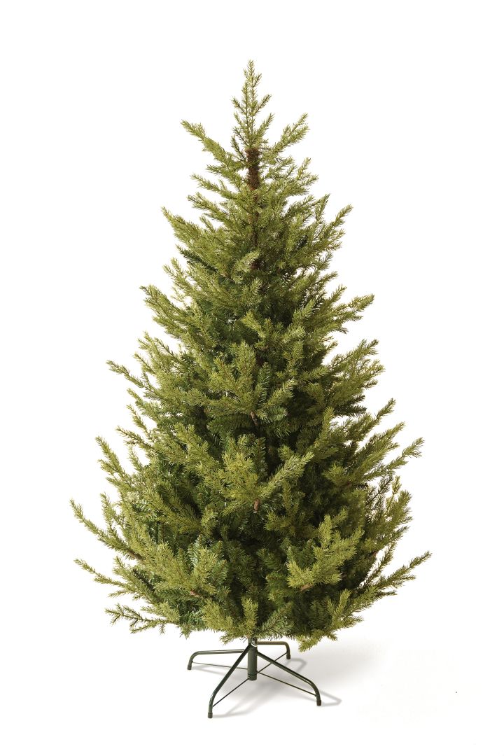 Caucasian Fir Caucasian fir 180 cm