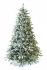 Grand Fir Frosted გრანდ ნაძვი დათოვლილი 210 სმ
