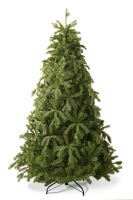 Colorado Spruce კოლორადოს ნაძვი 210 სმ