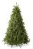 Colorado Spruce კოლორადოს ნაძვი 210 სმ