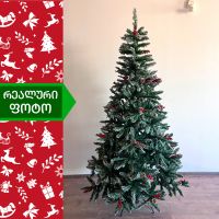 ნაძვის ხე ალასკა 300 სმ (VB-300)